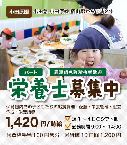 全国のサンライズキッズ保育園で経験を積みキャリアアップする事ができます。