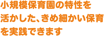 小規模保育園の特性を活かした、きめ細かい保育を実践できます