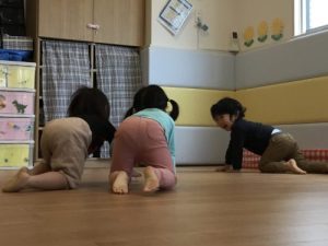体操カリキュラムのご紹介🤲🏻