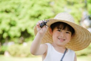 真夏のワークショップへようこそ