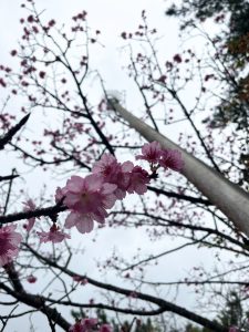 ３月❀子育てお役立ち情❀
