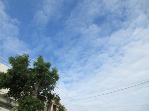 ◎8月◎子育てお役立ち情報