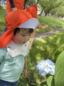 今週の園の様子