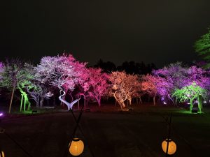 2月☆子育てお役立ちブログ☆