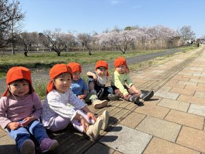 春が来たよ🌷