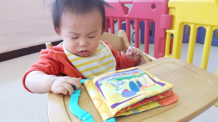 布やビニールやボタン等の玩具 