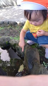 ★園ブログ★⑥