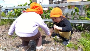★なのはな保育園ブログ★