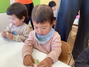 食育活動　カブについて