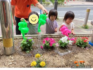 かわいいお花のお水やり🌼🌼🌼
