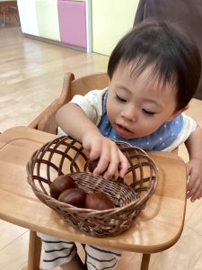 美味しそうな秋の食べ物🌰見つけたよ🎵