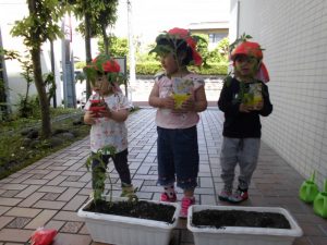 小規模保育園 小田原園 ミニトマトの栽培 小田原園ブログ 小規模認可保育園 サンライズキッズ保育園 小田原園 公式