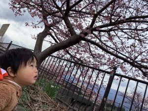 【小規模保育園:小田原園】今週の子どもたちの様子☆