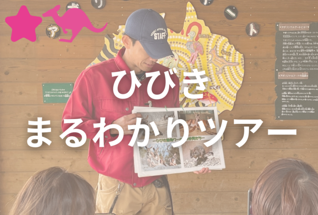 カンガルーふれあい体験inグリーンパーク