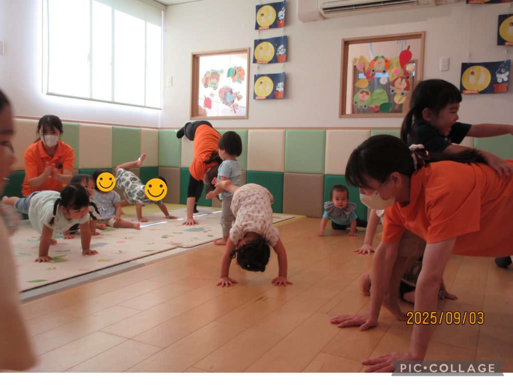 🤸‍♀️体操カリキュラム🤸‍♀️