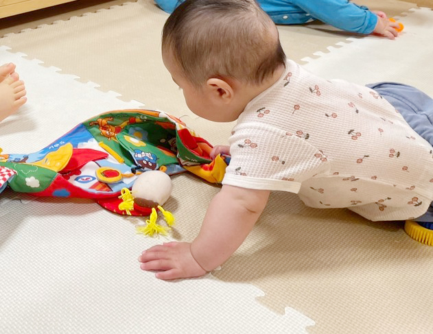 布やビニールやボタン等の玩具