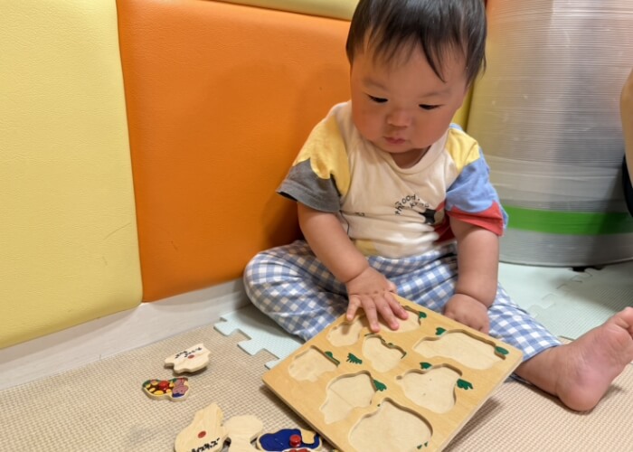 型はめパズル