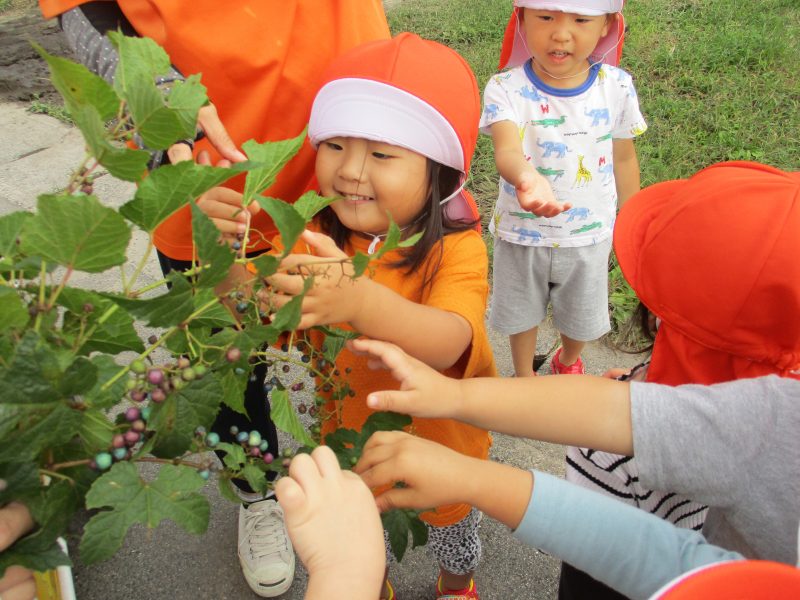 1月21日(土)の給食・おやつ