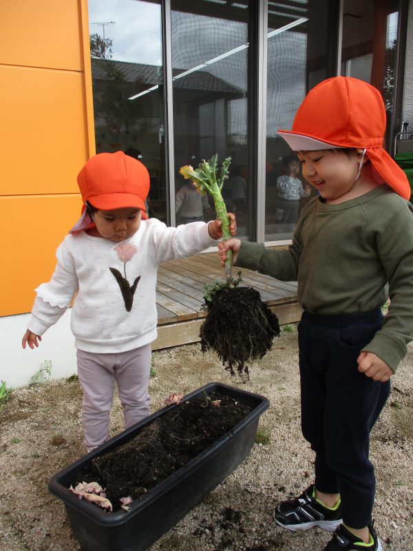 ６月９日(金)の給食・おやつ