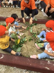 砂場芋掘り大会🍠