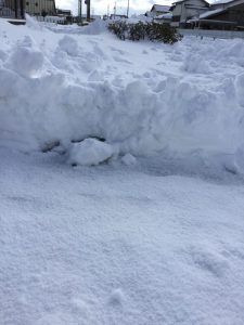 大寒波到来🌨️