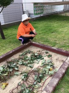 🍠秋の大収穫～芋ほり、秋野菜～🍆