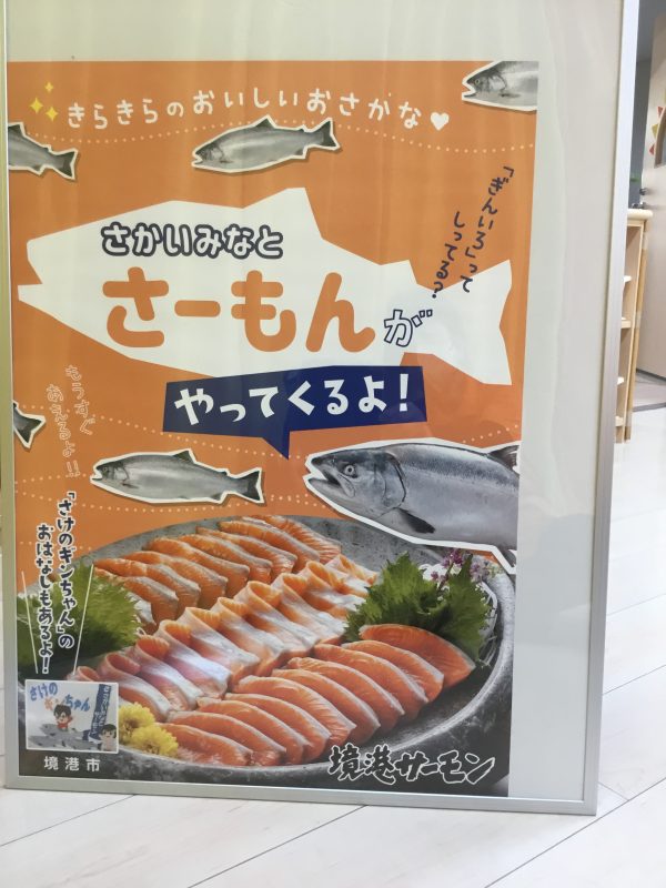 大きなお魚にビックリ👀‼️〜銀鮭集会〜