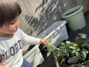 🍀食育活動🍀