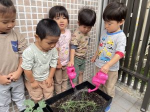 🥦野菜の水やり🧅
