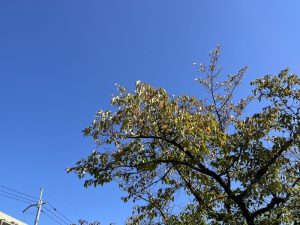 寒い時期を迎える前に！