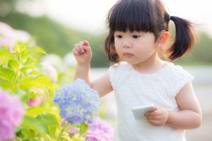 雨の日に知的好奇心を刺激しよう