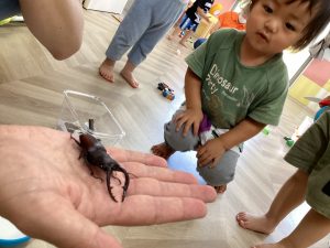 夏の虫といえば…！