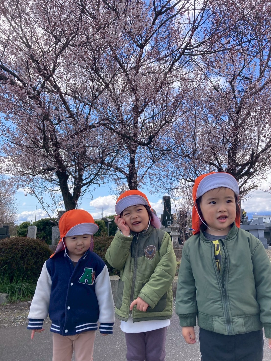 新年度が始まりました🌸