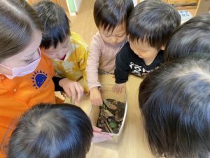 ダンゴムシが気になるようです❗️