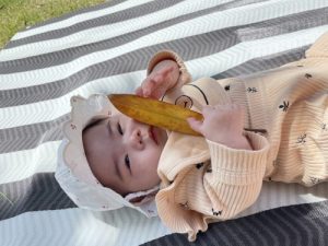 ＧＷはいかがお過ごしですか？