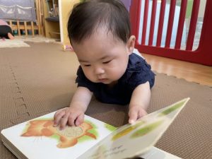 絵本ブログ📚もも組編🍑