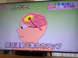 サンライズ育脳教育☀️