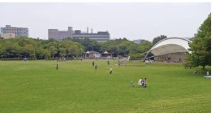 気持ちの良い秋晴れにお出かけ🍁