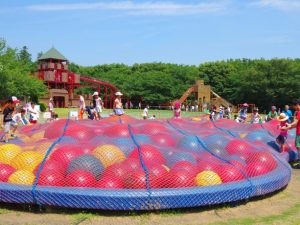☀️夏のお出かけ🌻