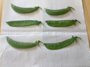 お豆の中身は？？？