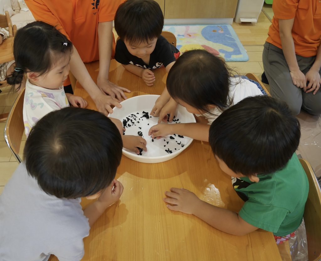 食育《乾物わかめ》🌊