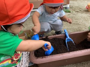 🌱今週の矢吹町園🌱