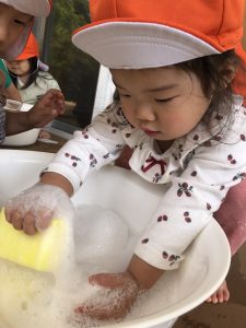 🌞今週の矢吹町園🌞