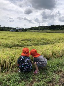 🌾今週の矢吹町園🍂
