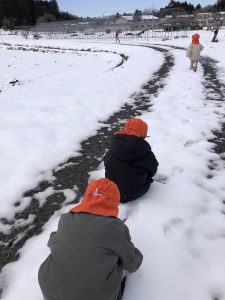 今週の矢吹町園🌞