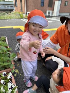 🌷今週の矢吹町園🌷
