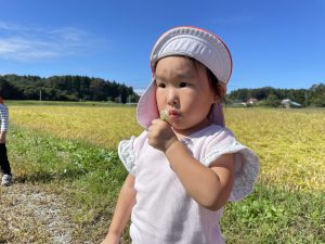 🍄今週の矢吹町園🍄