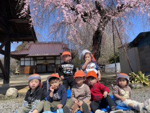 🌸今週の矢吹町園🌸