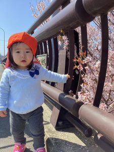 ⭐︎今週の園ブログ⭐︎