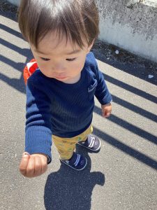 ⭐︎今週の山形園⭐︎